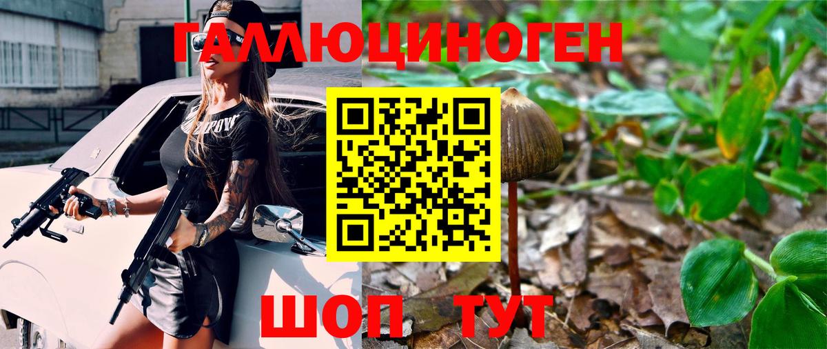 где продают наркотики  Псилоцибиновые грибы GOLDEN TEACHER  Вход с VPN  Галлюциногенные грибы GOLDEN TEACHER  Канаш 