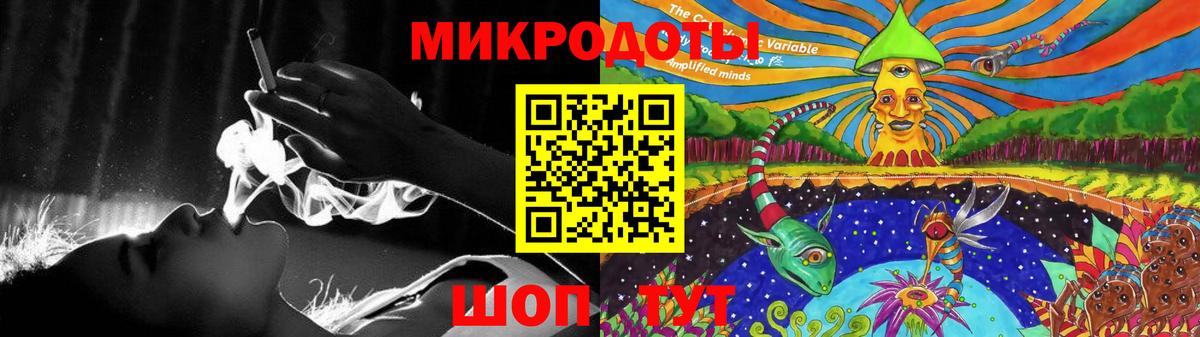 Псилоцибиновые грибы Psilocybine cubensis Канаш